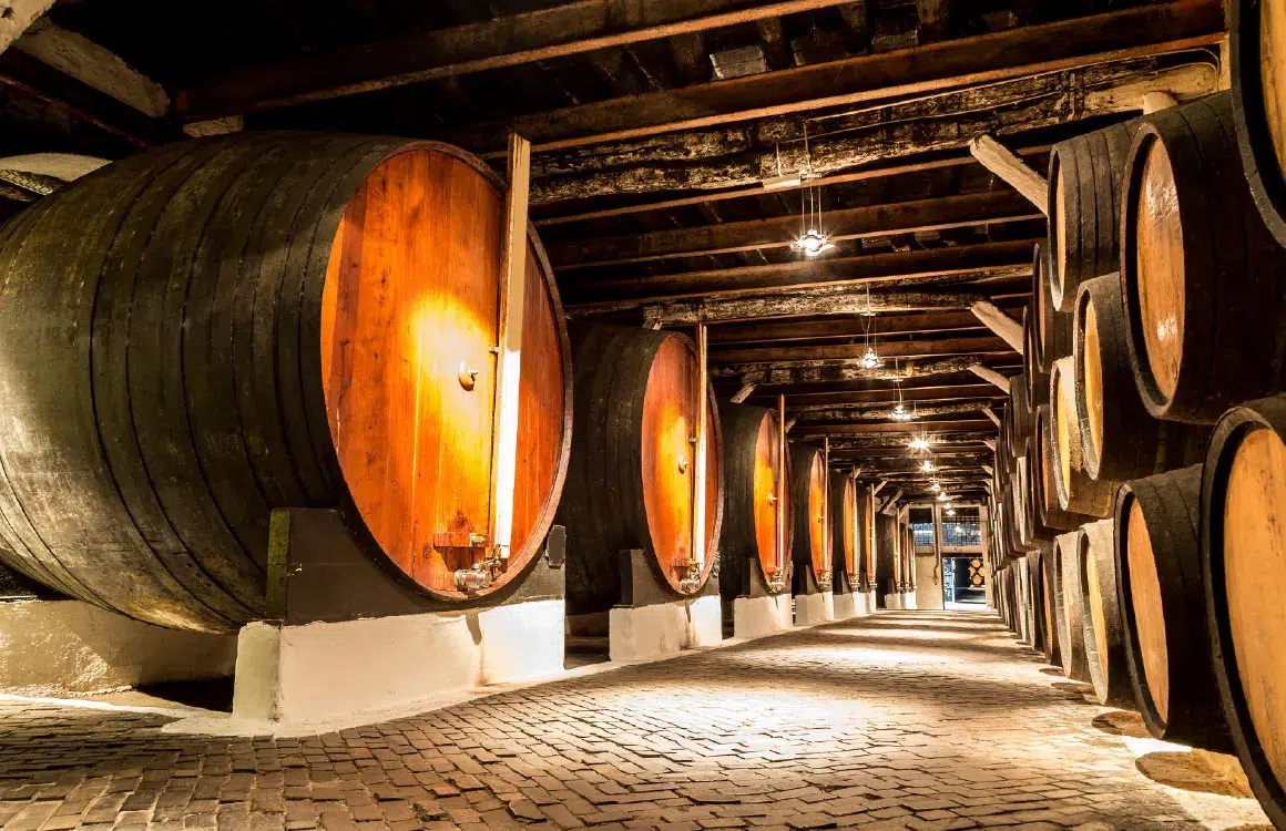 Caves de Vila Nova de Gaia — cocktail de mariage